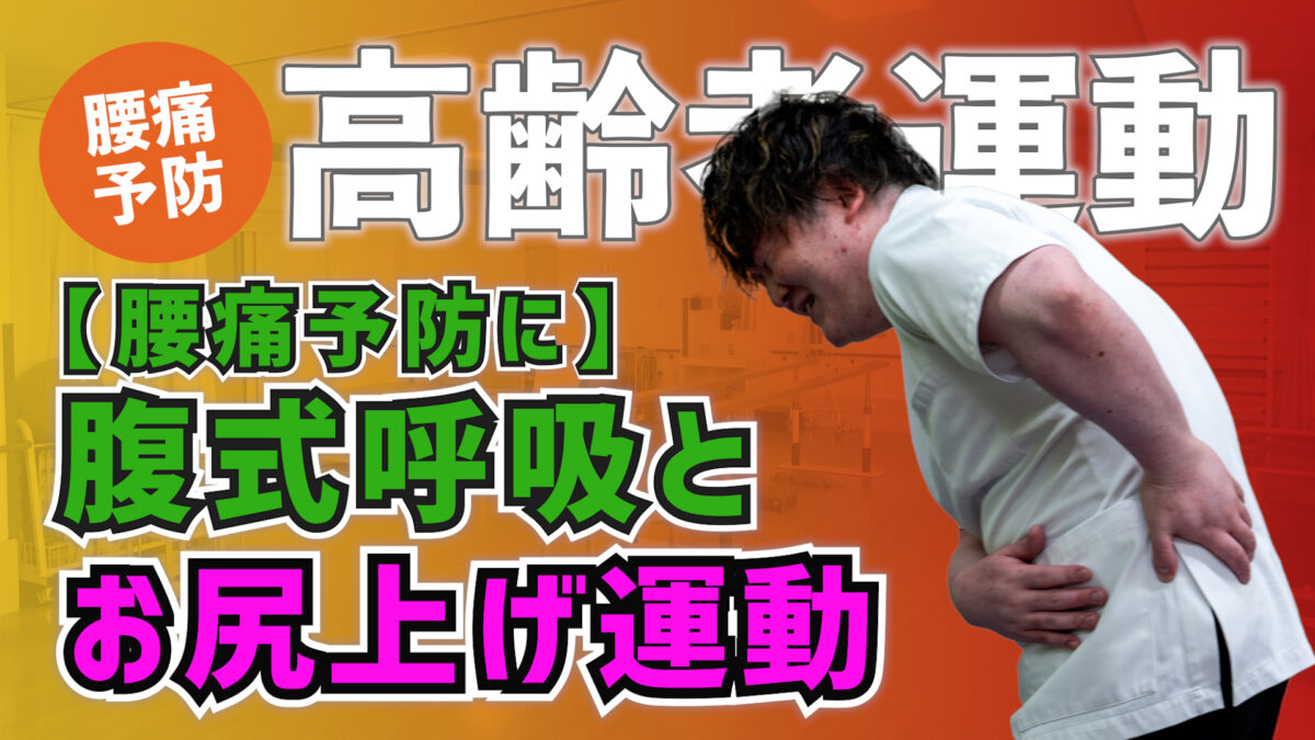 【高齢者運動】腰痛予防に!腹式呼吸とお尻上げ運動 #56