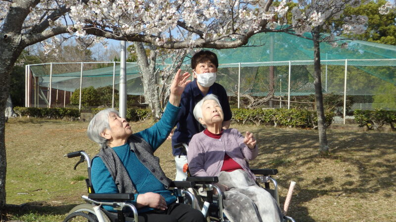ふたみ苑でご利用者の皆様とお花見を実施いたしました